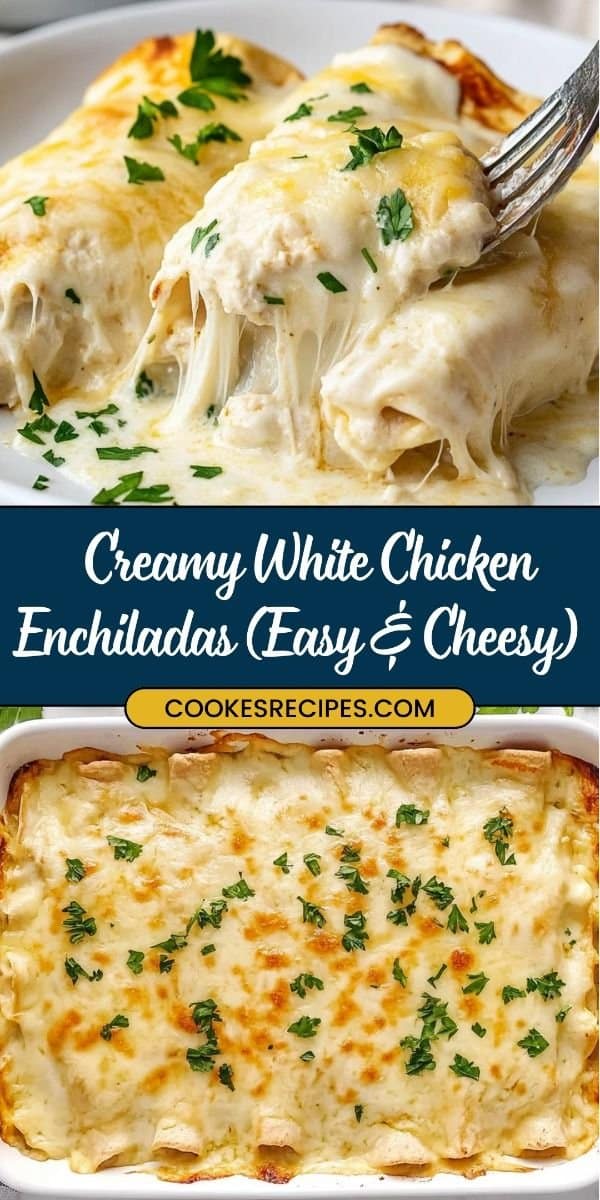 Chicken Enchiladas with Sour Cream White Sauce