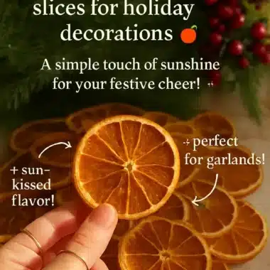 Perfectly dried orange slices for holiday decorations and festive decor