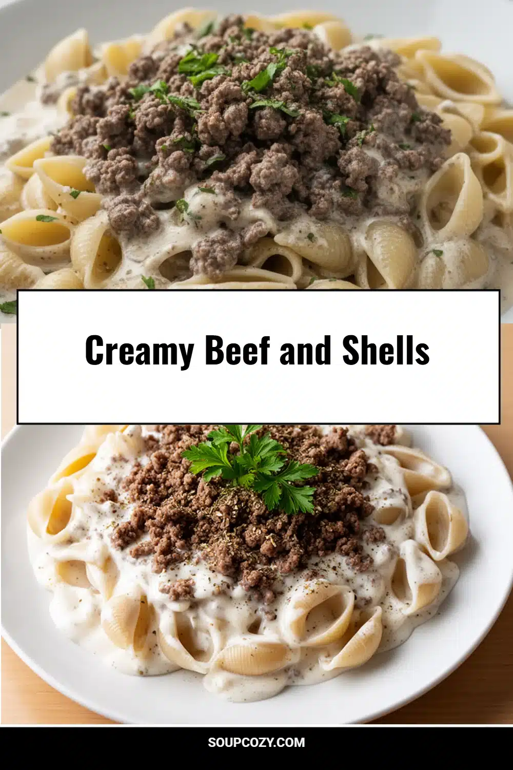 Creamy Beef and Shells