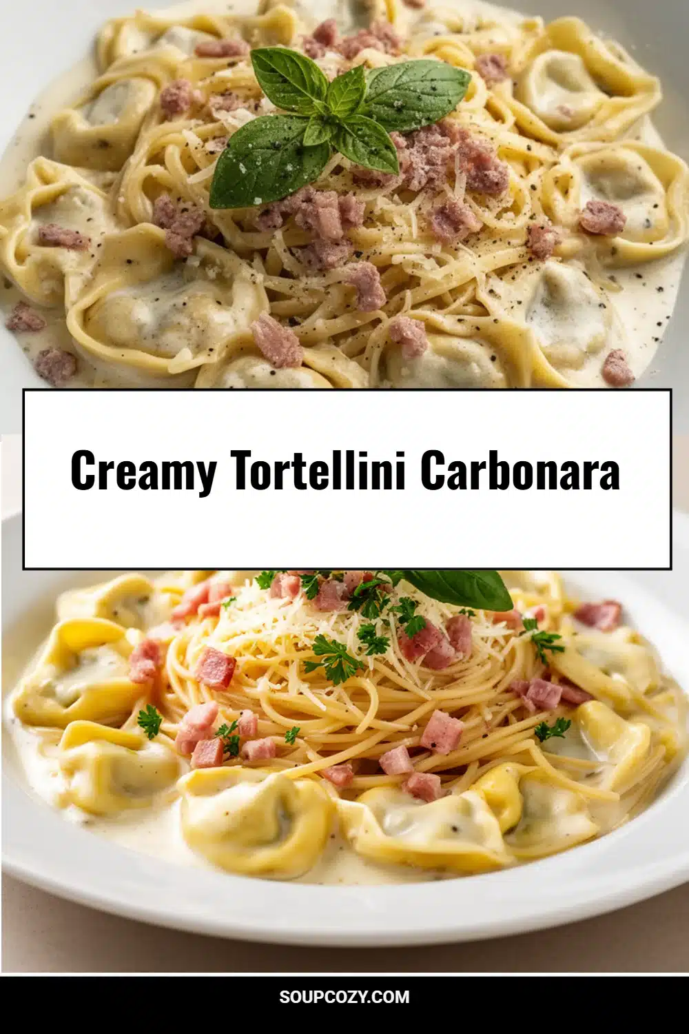 Creamy Tortellini Carbonara