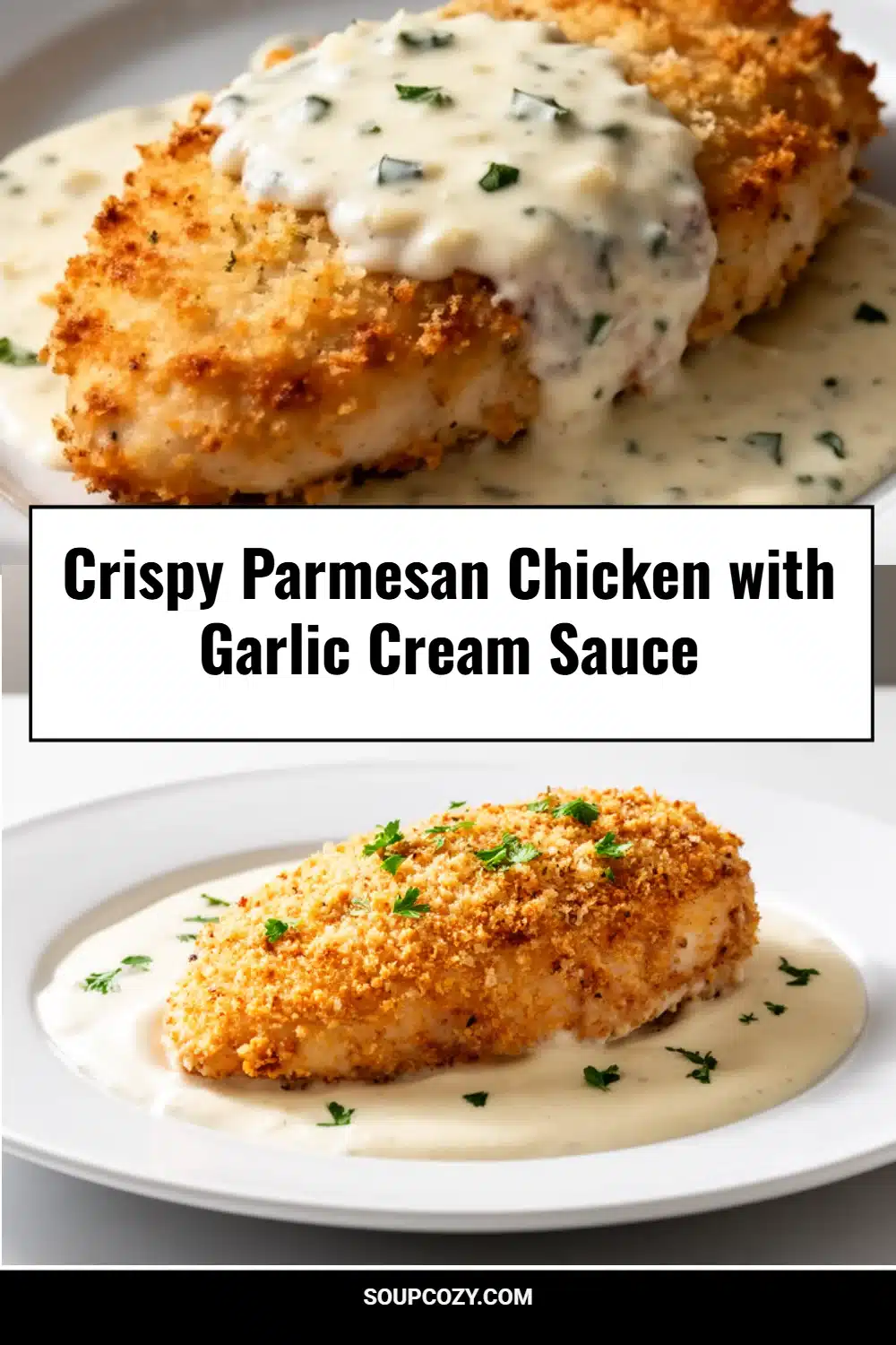 Crispy Parmesan Chicken with Garlic Cream Sauce