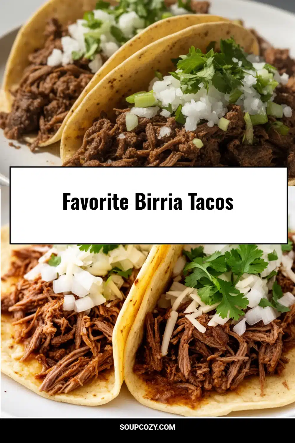 Favorite Birria Tacos