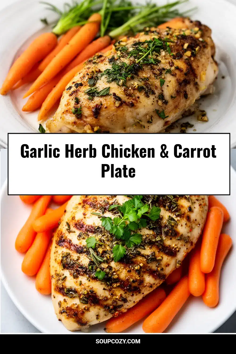 Garlic Herb Chicken & Carrot Plate