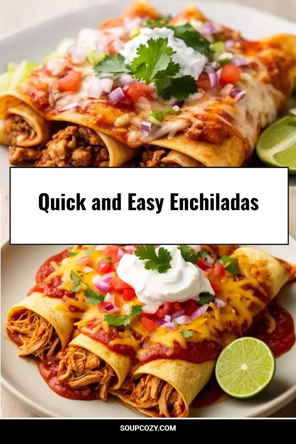 Quick and Easy Enchiladas