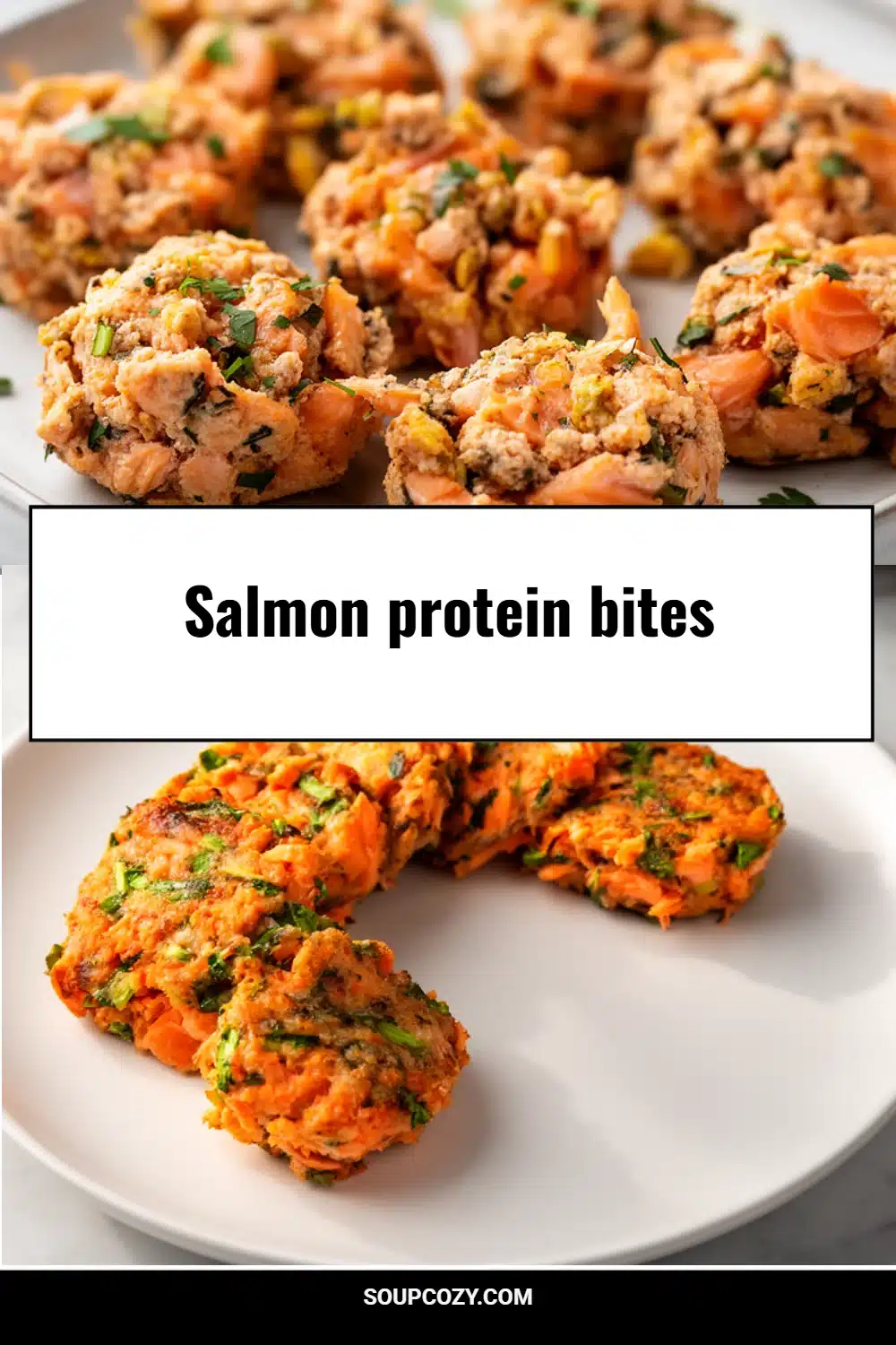 Salmon protein bites