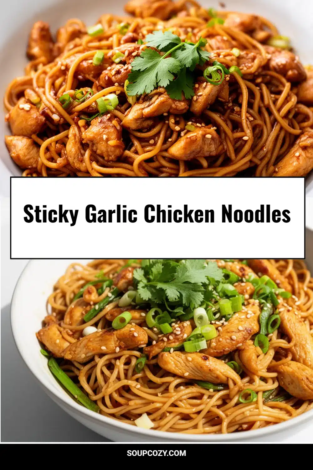 Sticky Garlic Chicken Noodles