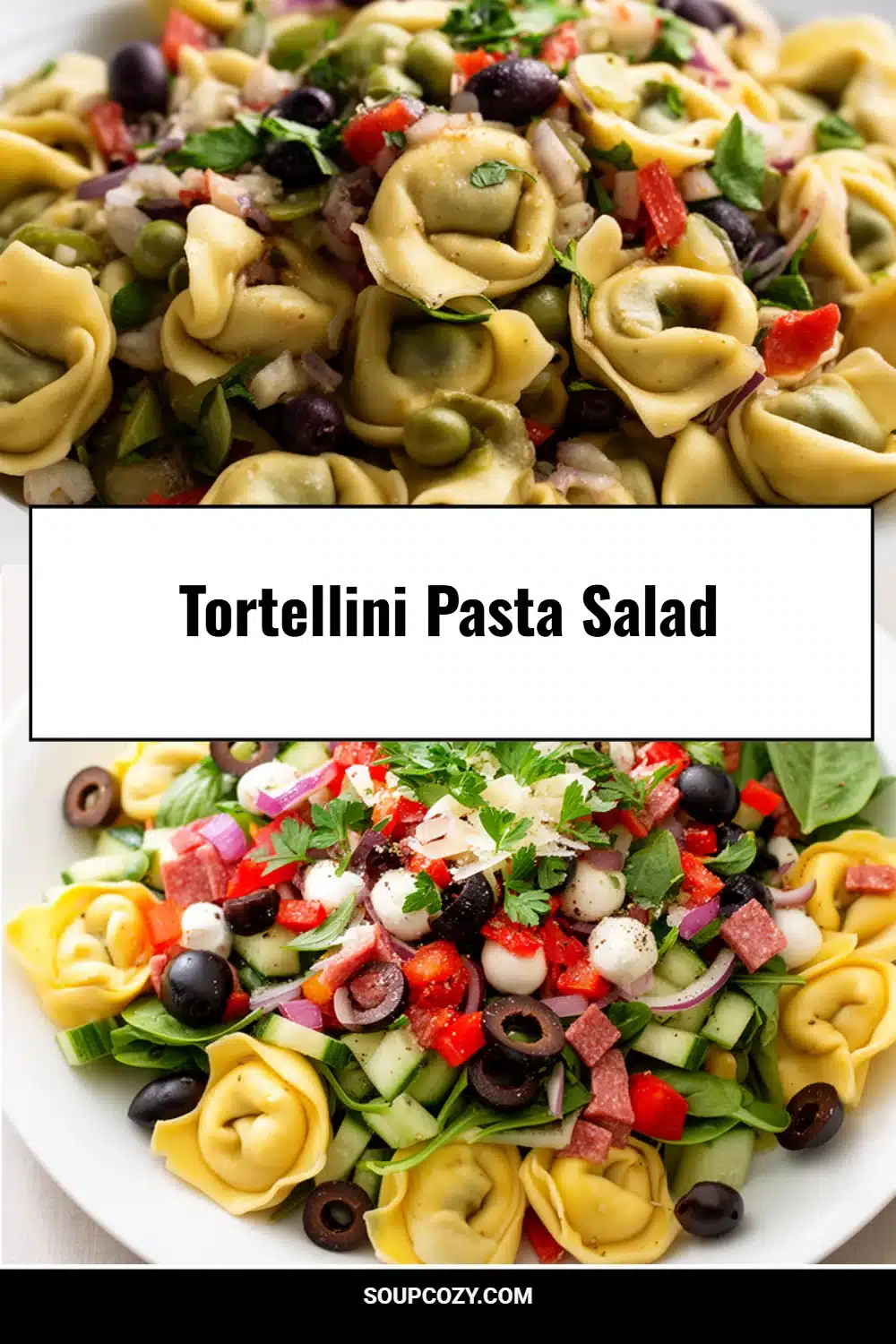 Tortellini Pasta Salad